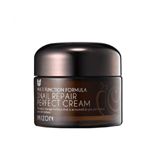 Veido kremas Mizon Snail Repair Perfect Cream, su sraigių mucinu, 50 ml